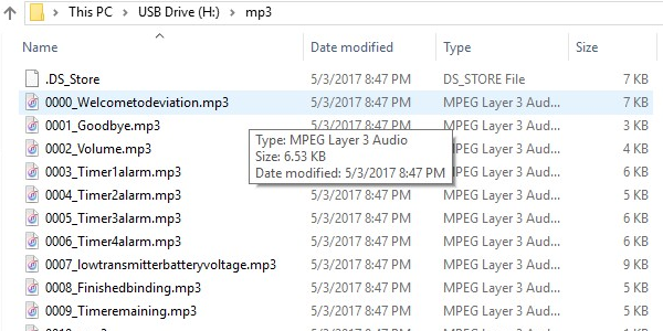 usb_drive_mp3_folder.png